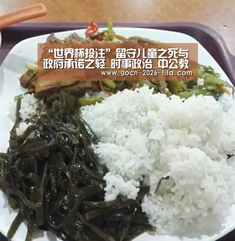 “世界杯投注”留守儿童之死与政府承诺之轻_时事政治_中公教育网(图1) 世界杯投注